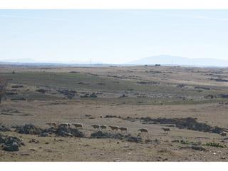 Propriété  Campanario-orellana. Finca en venta