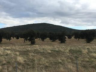 Finca rústica  Peraleda del zaucejo