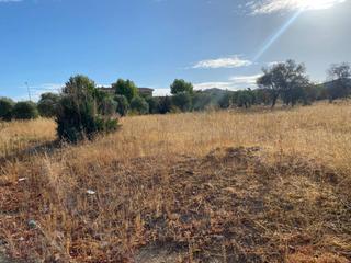 Finca rústica a Villanueva de la Serena. Terreno en venta en villanueva de la serena