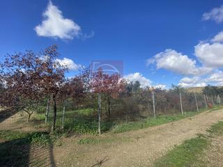 Landgut in Villanueva de la Serena. Terreno en venta en villanueva de la serena