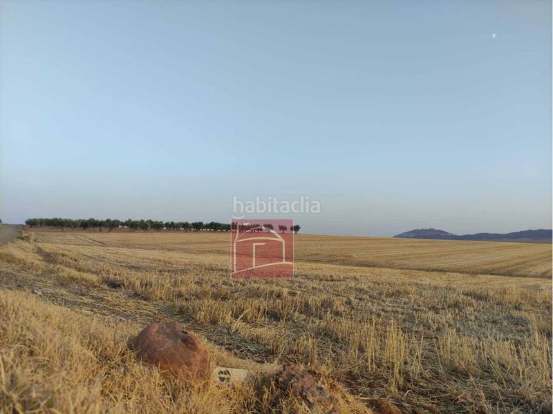 Foto a2592833-316c-451c-b944-112bb2d1f92a. Finca rústica finca rustica laborolivos en Villanueva de la Serena