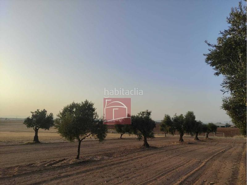 Foto cb397db5-de1e-446d-894d-0348800787a2. Finca rústica finca rustica laborolivos en Villanueva de la Serena