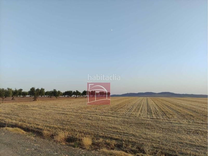 Foto de8cde88-acb6-4a08-ba8f-f907948cf523. Finca rústica finca rustica laborolivos en Villanueva de la Serena