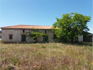 Finca rústica a Haba (La). Finca rustica en venta en la haba