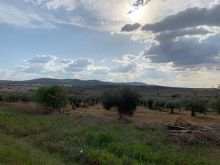 Mas à Villanueva de la Serena. Casa rustica en venta en villanueva de la serena