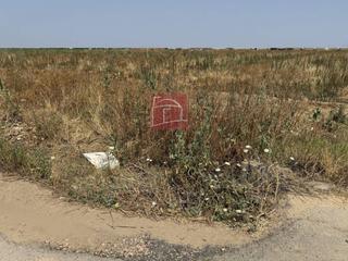 Landgut in Villanueva de la Serena. Terreno rusticoregadio a escasos metros de villanueva.