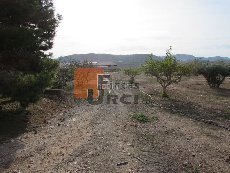 Foto 9ee9ec5e-a1cc-4446-8ce2-b1b3bff28915. House with parking in Escucha Lorca