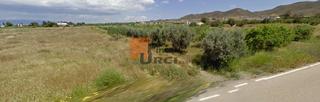 Residential Plot in Purias