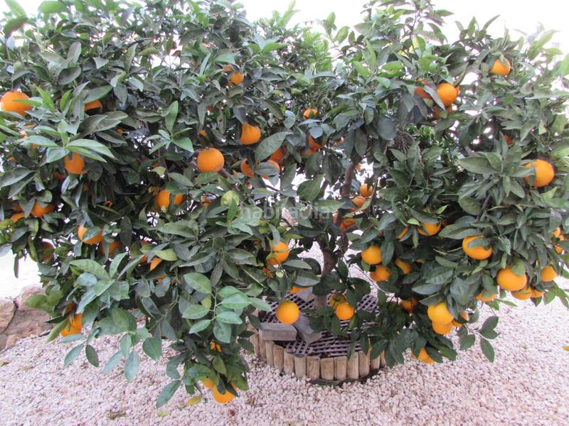 Foto 1aaee36a-6bc0-4951-9c76-bbd345358080. Chalet avec parking dans Calabardina Águilas