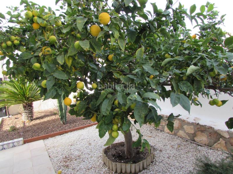 Foto db82fdfb-c575-4b35-847f-dc9e8b2d44db. Chalet avec parking dans Calabardina Águilas