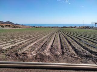 Rural plot in Calabardina
