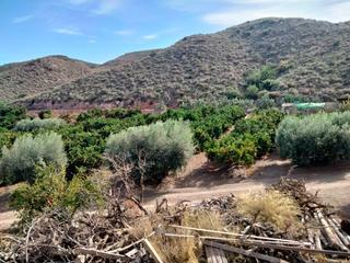 Rural plot in Calabardina