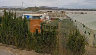 Finca rústica a Calarreona