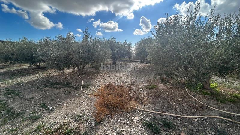 Foto bacfa3cc-9e3a-4163-96fd-39d7e26da60d. Haus mit heizung pool in Calabardina Águilas