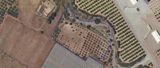 Finca rústica en Almendricos. Terreno rústico en lorca, la hoya por