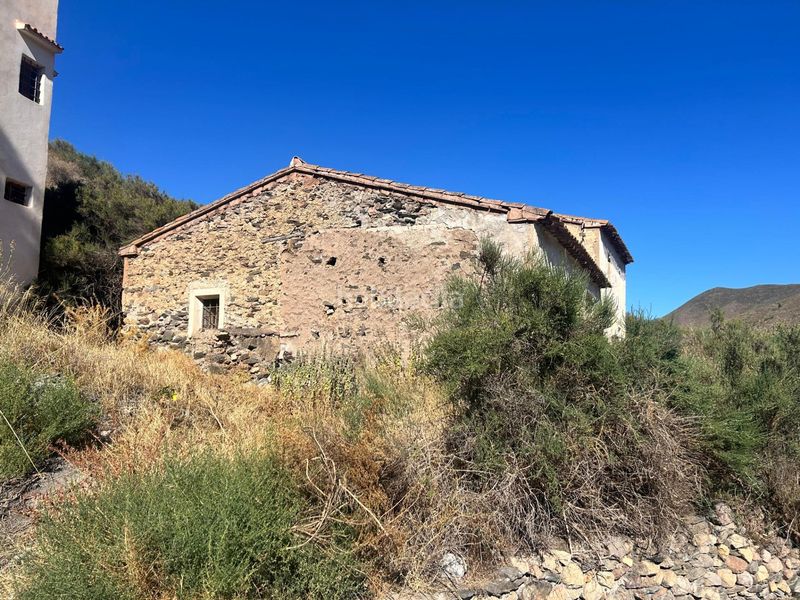 Foto a8b35a28-23ec-4b54-bb1d-9382ccdcd256. Masia a Tébar - Los Arejos Águilas