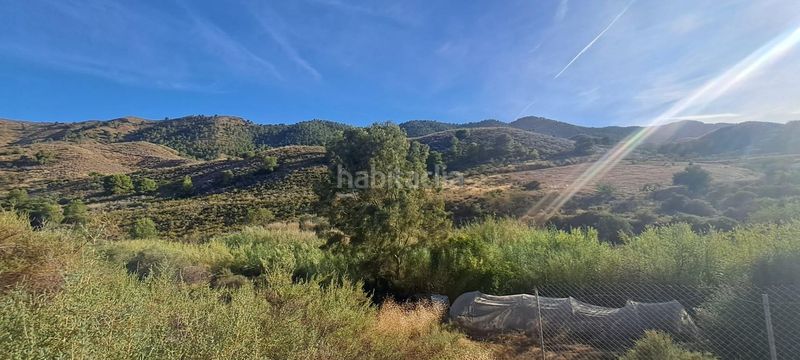 Foto b01f56ab-4f90-4a25-a496-ce70255fca51. Masia a Tébar - Los Arejos Águilas