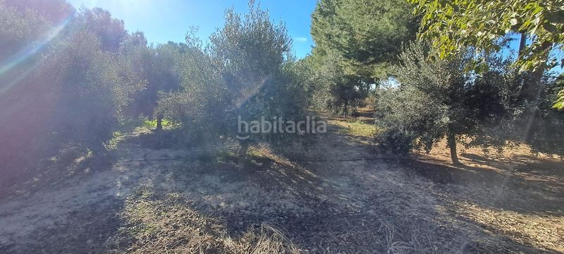 Foto ae4d9dc4-4204-4ce7-a563-512eff7e52e5. Maison avec parking dans Pulgara Lorca