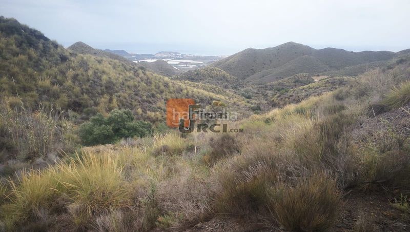 Foto 030f135c-8ab8-403d-b909-917074129bda. Casa a Tébar - Los Arejos Águilas