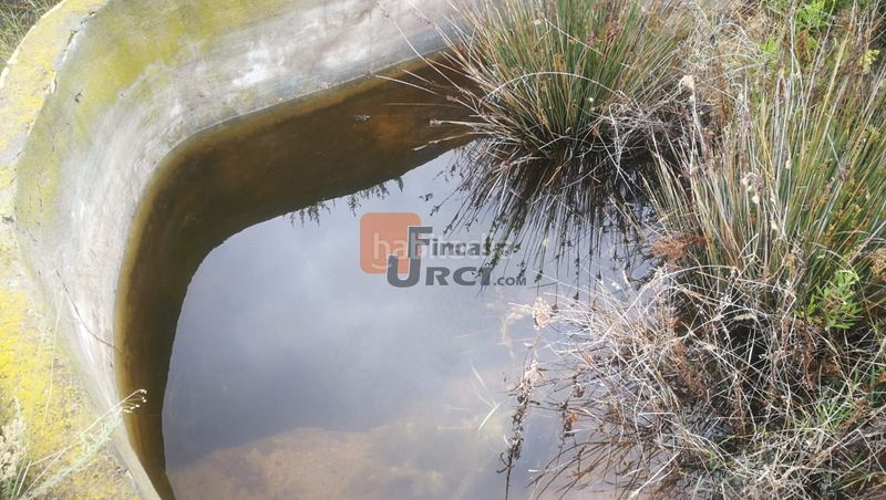 Foto 41b23278-a41a-4ed0-9235-23ec47275f01. Casa a Tébar - Los Arejos Águilas