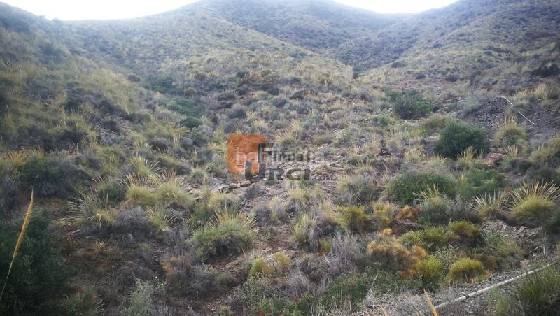 Foto 45de0cc7-05c4-466c-8be4-4c15b215a19f. Casa a Tébar - Los Arejos Águilas