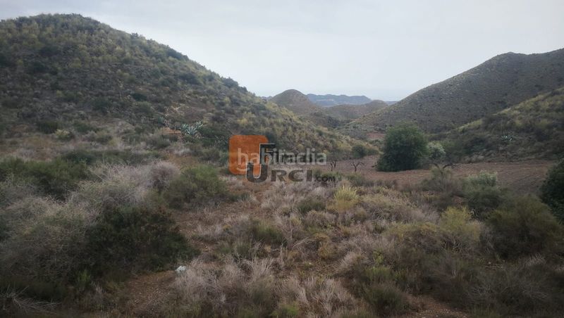 Foto 48c94e28-5f08-44a5-9d4d-dd7dc11cc924. Casa a Tébar - Los Arejos Águilas