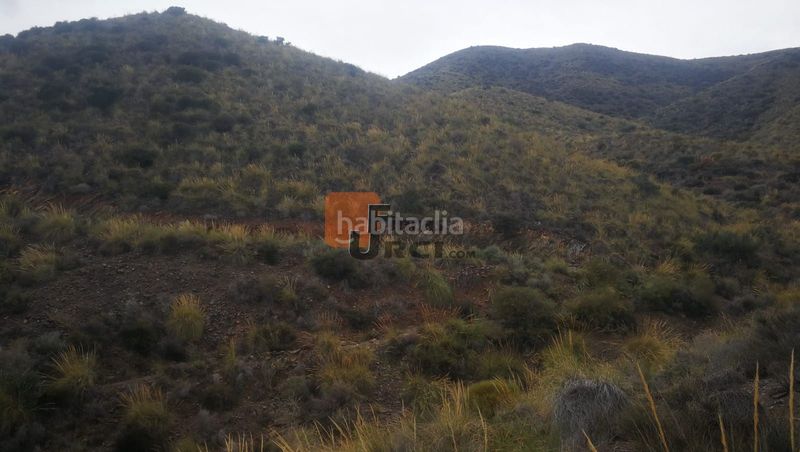 Foto 5eb0bfc8-d52c-45eb-ba92-74cbf0dff1ca. Casa a Tébar - Los Arejos Águilas