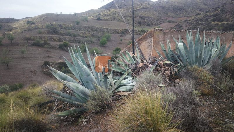 Foto 9f86eaf4-9dcb-45db-a9dc-202b6b957dc9. Casa a Tébar - Los Arejos Águilas