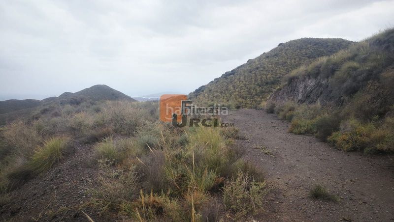 Foto b8220be4-698a-43b3-bb47-986023f3a7ff. Casa a Tébar - Los Arejos Águilas