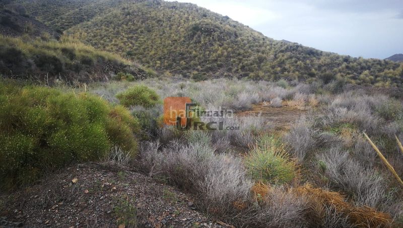 Foto c0ebd6d2-82bd-41ac-9536-76a60c8ac94a. Casa a Tébar - Los Arejos Águilas