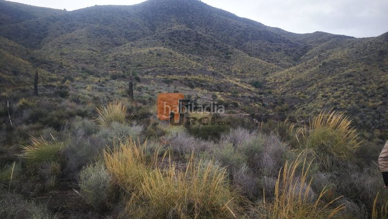 Foto eaaa0119-8174-4178-b381-3d4098645163. Casa a Tébar - Los Arejos Águilas