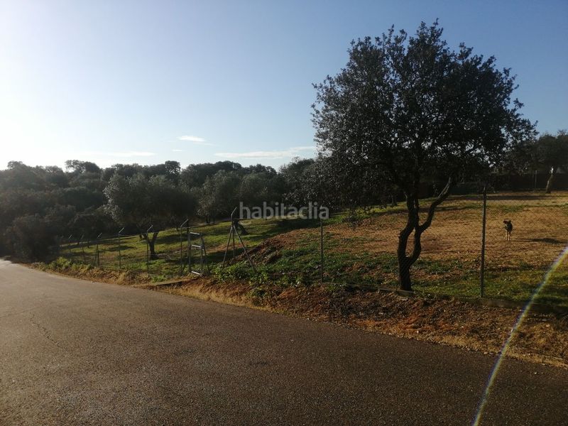 Foto 98dbba85-be61-45a5-a400-79f724a35323. Finca rústica parcela en Dehesilla de Calamón - Campomanes Badajoz