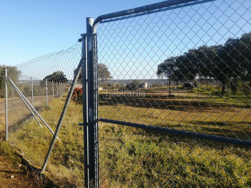 Foto ea6bd20e-8895-4100-9ae8-da565b5aabad. Finca rústica parcela en Dehesilla de Calamón - Campomanes Badajoz