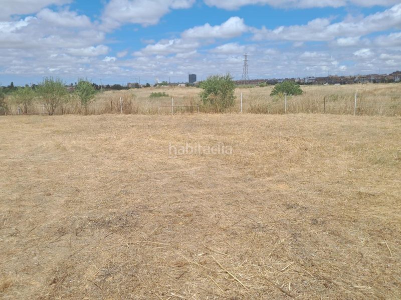 Foto 2a808390-f0a4-48b1-a5b6-2c3455ba370d. Finca rústica a Valdepasillas - La Paz - Huerta Rosales Badajoz