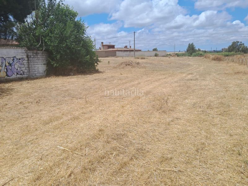 Foto 6240d495-d352-4ed8-a134-736665c9feef. Finca rústica a Valdepasillas - La Paz - Huerta Rosales Badajoz