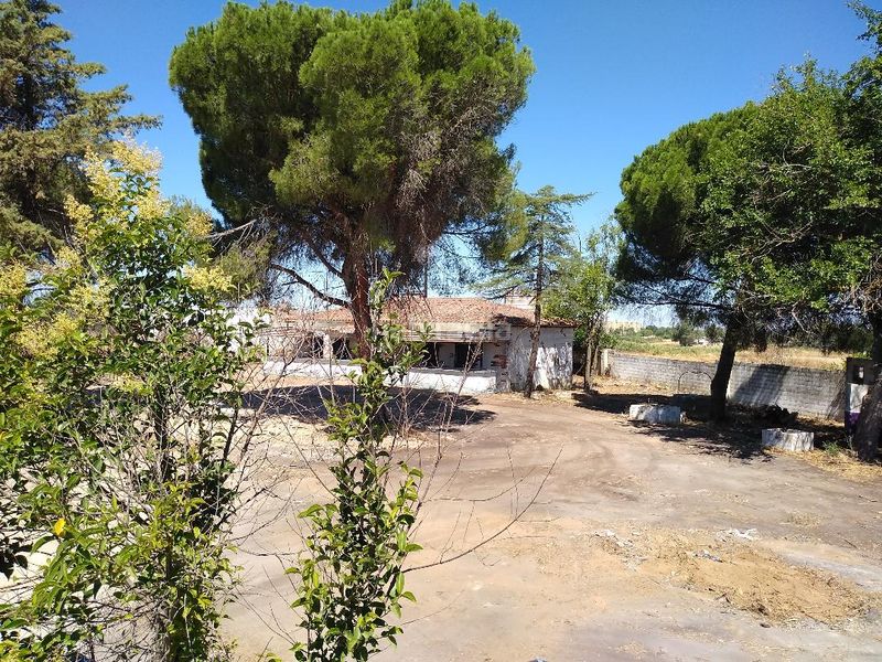 Foto 799a4248-b058-4adb-955b-d64473ab6e1b. Finca rústica a Valdepasillas - La Paz - Huerta Rosales Badajoz