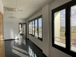 Miete Büro in Avinguda de l'exèrcit 33. Espaciosa oficina en alquiler con excelente iluminación natural