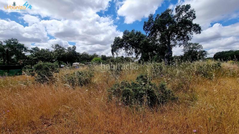 Foto 0c084c1d-cd92-4c4b-ad29-20b78bf2b024. Terreny residencial a Carretera de Sevilla - Los Montitos Badajoz