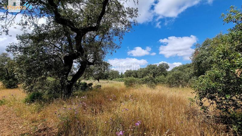 Foto 83aad932-2a94-45be-92f9-ad621099f933. Terreny residencial a Carretera de Sevilla - Los Montitos Badajoz