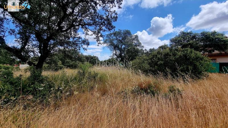 Foto 90e52c94-c0c0-48ec-b5f6-796a5f680d79. Terreny residencial a Carretera de Sevilla - Los Montitos Badajoz