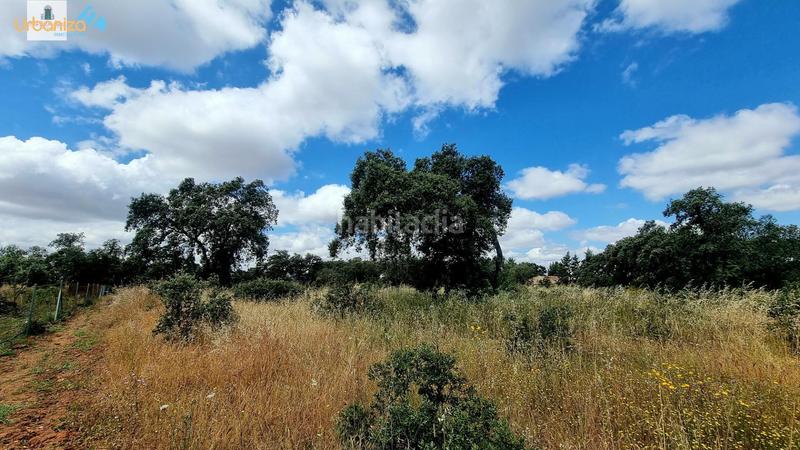 Foto d76f128f-0548-447d-ad8d-71285d92d3d5. Terreny residencial a Carretera de Sevilla - Los Montitos Badajoz