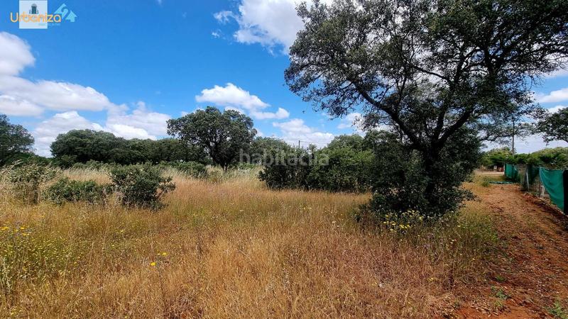 Foto fd9f4025-3d91-442c-a1d2-de7a74a6efd6. Terreny residencial a Carretera de Sevilla - Los Montitos Badajoz