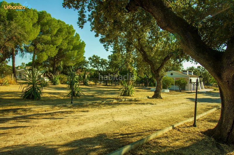 Foto ab5d49b4-b85b-4d6a-b40d-25b4993b5ec8. Xalet amb calefacció aparcament piscina a Las Vaguadas Badajoz