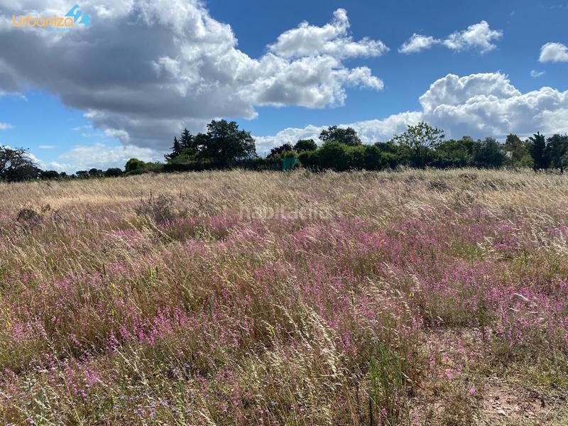 Foto 0e4e466c-61e3-48dc-b9c7-eeffad138dea. Terreny residencial a Carretera de Sevilla - Los Montitos Badajoz