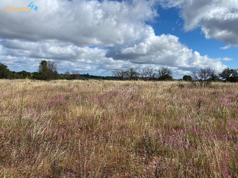 Foto 24ad44e3-33d5-4258-8f1f-035aca36e8a6. Terreny residencial a Carretera de Sevilla - Los Montitos Badajoz