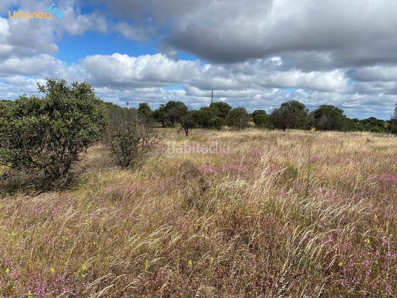 Foto 283e6f47-f256-431d-bf9a-38b35ecadc2e. Terreny residencial a Carretera de Sevilla - Los Montitos Badajoz