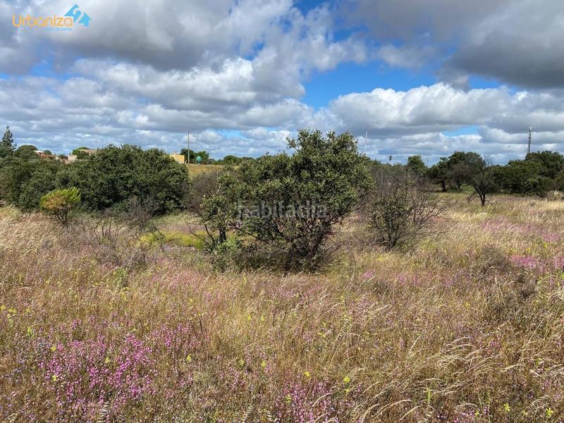 Foto 5351916e-be65-4921-966c-96bd781abbec. Terreny residencial a Carretera de Sevilla - Los Montitos Badajoz