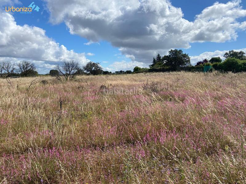 Foto 77931f13-7f79-472c-aa99-4b7ea2f927e2. Terreny residencial a Carretera de Sevilla - Los Montitos Badajoz