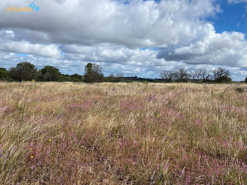Foto e2e0b21b-bd01-4dd6-a7f0-b1ac85c5d064. Terreny residencial a Carretera de Sevilla - Los Montitos Badajoz