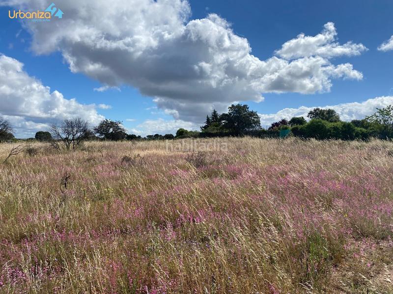Foto e6224fc3-b1ae-4a6a-9a64-16f9760d540b. Terreny residencial a Carretera de Sevilla - Los Montitos Badajoz